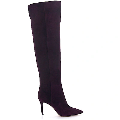 Shop Gianvito Rossi Overknees G86280 Calfskin Suede Purple