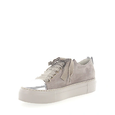 Shop Agl Attilio Giusti Leombruni Sneakers D925065 Suede Grey Leather Metallic Silver