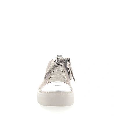 Shop Agl Attilio Giusti Leombruni Sneakers D925065 Suede Grey Leather Metallic Silver