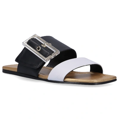 Shop Agl Attilio Giusti Leombruni Strappy Sandals D641018 Calfskin Suede Decorative Buckle Black Grey