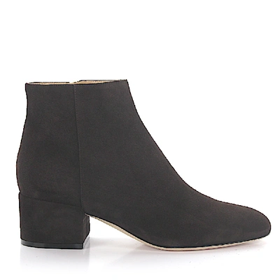 Shop Sergio Rossi Ankle Boots Suede Brown