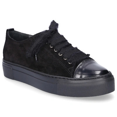 Shop Agl Attilio Giusti Leombruni Low-top Sneakers D92509 In Black