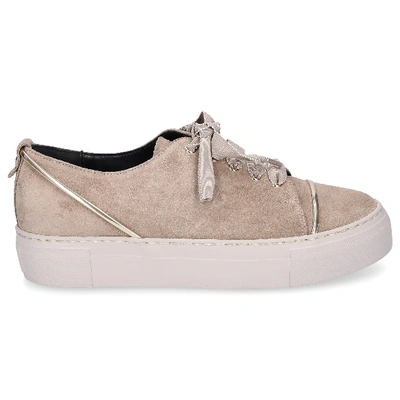 Shop Agl Attilio Giusti Leombruni Low-top Sneakers D925139 Suede In Grey