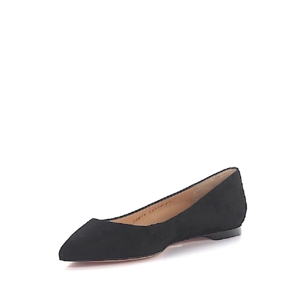 Shop Gianvito Rossi Classic Ballet Flats In Black