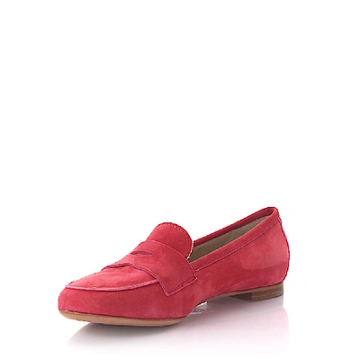 Shop Agl Attilio Giusti Leombruni Loafers D71903 In Pink