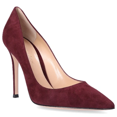 Shop Gianvito Rossi Pumps Gianvito 105 In Red