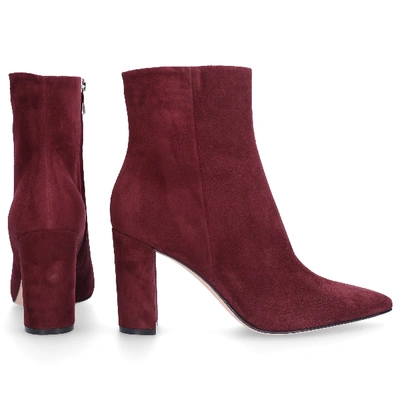 Shop Gianvito Rossi Ankle Boots Red Piper 85