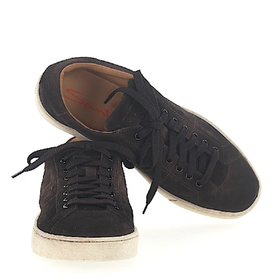 Shop Santoni Low-top Sneakers Calfskin Suede Logo Brown