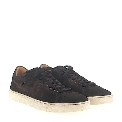 Shop Santoni Low-top Sneakers Calfskin Suede Logo Brown