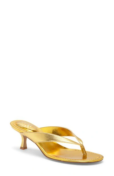 Shop Vince Camuto Marlinda Kitten Heel Flip Flop In Sunny Leather