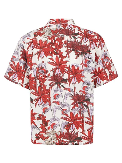 Shop Prada Palm Tree Printed Shirt In Red