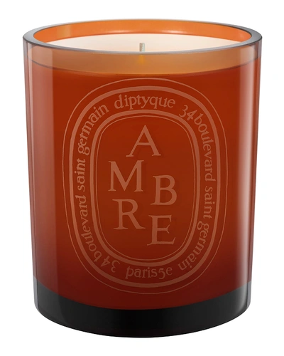 Shop Diptyque Ambre (amber) Scented Candle, 10.2 Oz.