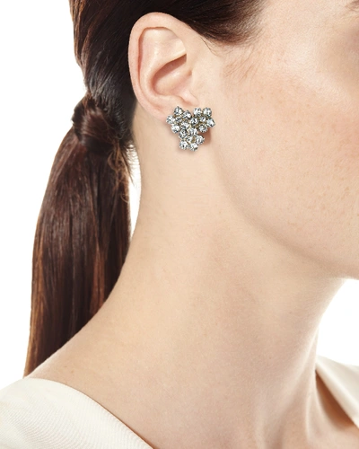 Shop Jennifer Behr Violet Crystal Stud Earrings In Clear