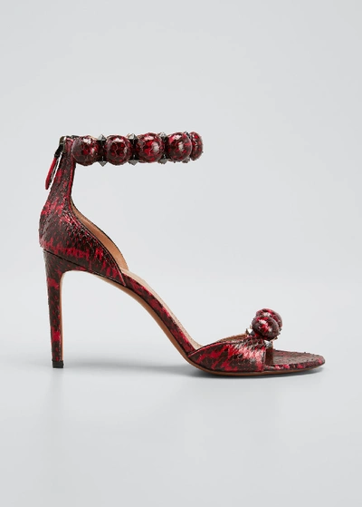 Shop Alaïa Bombe Stud Snakeskin Ankle-wrap Sandals In Red