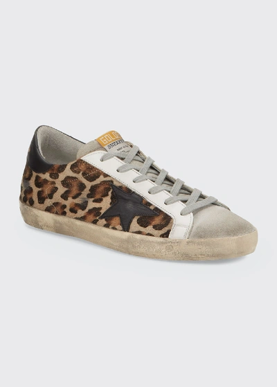 Shop Golden Goose Superstar Leopard Calf Hair Sneakers