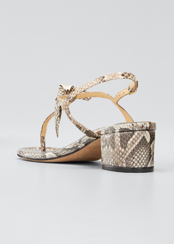 alexandre birman clarita python