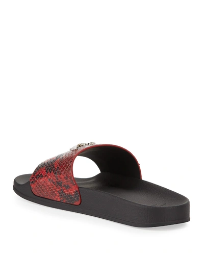 Shop Giuseppe Zanotti Men's Snake-embossed Leather Logo Slide Sandals In Red Pattern