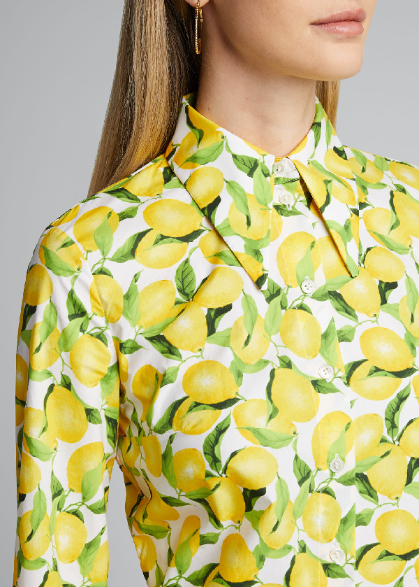 Michael Kors Lemon-print Cotton Poplin Button-front Shirt In Lmn-wht ...