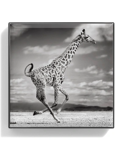 Chantecaille Luminescent Eye Shade 2.5g (various Shades) - Giraffe In Giraffe