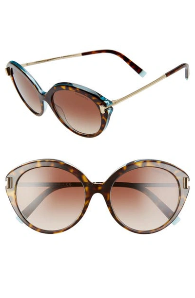 Shop Tiffany & Co 54mm Gradient Round Sunglasses In Havana/ Brown Grad
