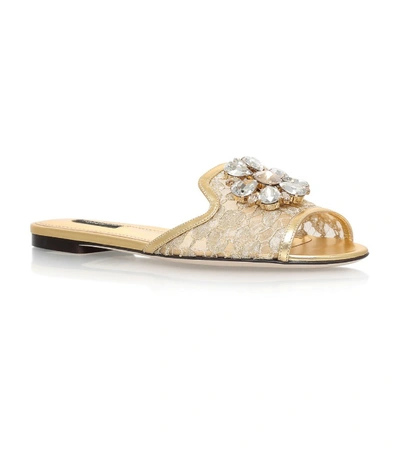 Shop Dolce & Gabbana Lace-embellished Bianca Sandals In Gold