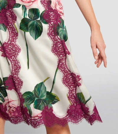 Shop Dolce & Gabbana Lace-trim Floral-print Skirt