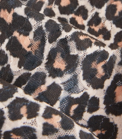 Shop Hanky Panky Leopard Print Thong Bodysuit