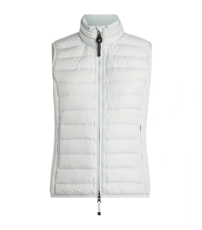 Shop Parajumpers Dodie Padded Gilet