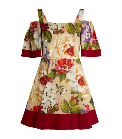 Shop Dolce & Gabbana Floral Skater Dress