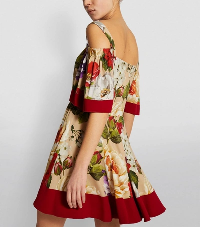 Shop Dolce & Gabbana Floral Skater Dress