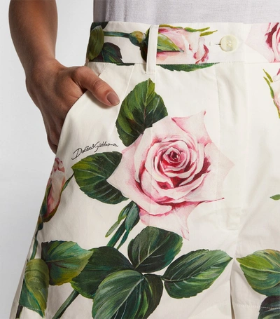 Shop Dolce & Gabbana Tropical Rose Print Shorts
