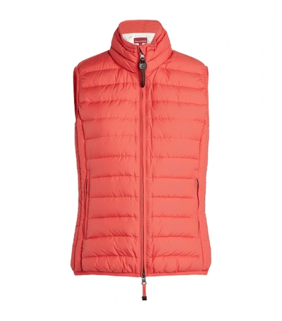 Shop Parajumpers Dodie Padded Gilet