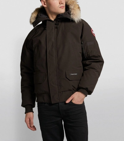 Shop Canada Goose Chilliwack Bomber Jacket In Black