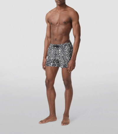 Shop Burberry Leopard Print Swim Shorts