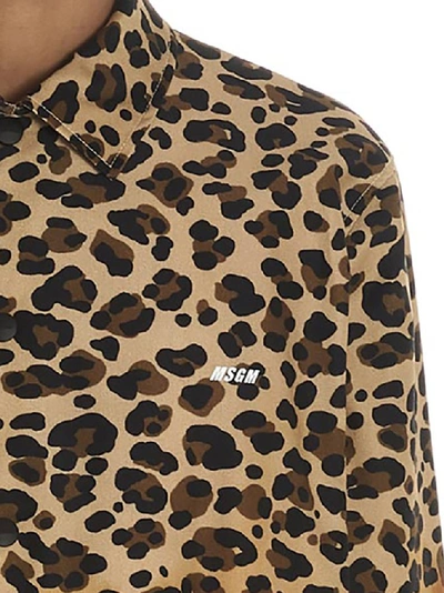 Shop Msgm Animal Print Jacket In Multi