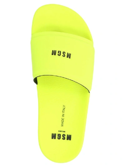 Shop Msgm Logo Slides In Yellow