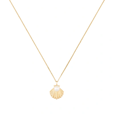 Shop Ariel Gordon Jewelry Lido Shell Pendant Necklace In Yellow Gold/pearl