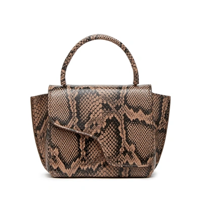 Shop Atp Atelier Montalcino Snake Print Bag In Brown Printed Snake
