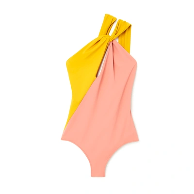 Shop Araks Venetia One-piece Swimsuit In Yarrow & Begonia