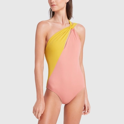 Shop Araks Venetia One-piece Swimsuit In Yarrow & Begonia