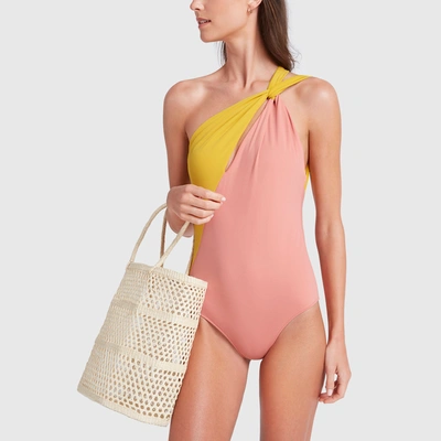 Shop Araks Venetia One-piece Swimsuit In Yarrow & Begonia