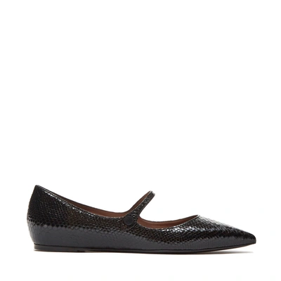 Shop Tabitha Simmons Hermione Python Flats In Black Embossed Python