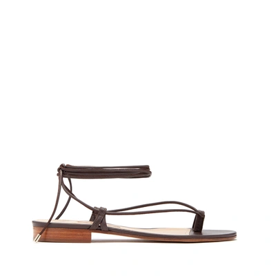 Shop Emme Parsons Ava Sandals In Brown