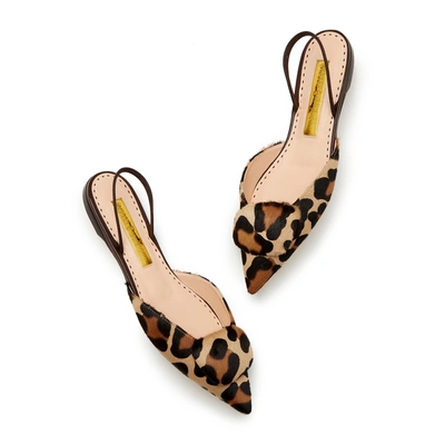 Shop Rupert Sanderson Pointed Covered Pebble Flat Shoe In Leopard Pony