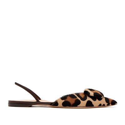 Shop Rupert Sanderson Pointed Covered Pebble Flat Shoe In Leopard Pony
