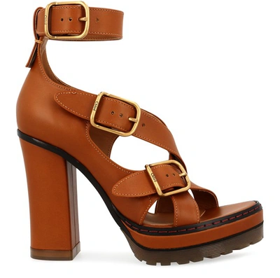 Shop Chloé Daisy Sandals In Bombay Brown