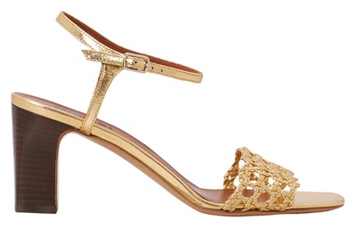 Shop Michel Vivien Trani Sandals In Oro
