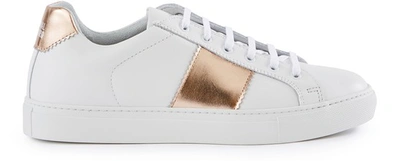 Shop National Standard Edition 4 Sneakers In Copper Band