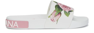 Shop Dolce & Gabbana Printed Slides In Ivory Print Pink Rose