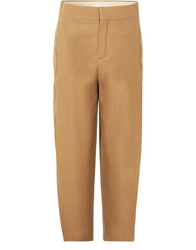 Shop Chloé Wool Trousers In Worn Brown